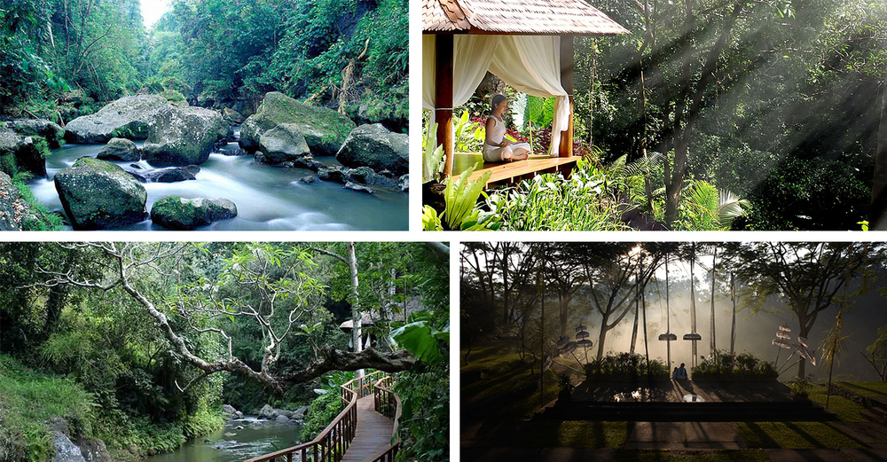  The eco-friendly Maya Ubud is set in a lush and breathtaking tropical jungle 